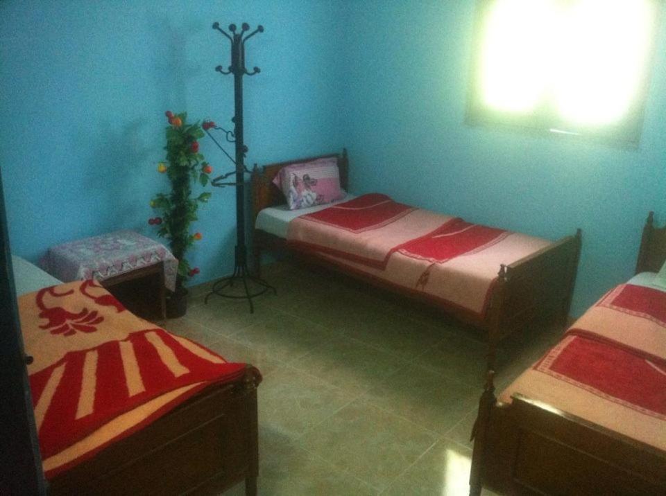Bob Marley House Sherief Hotel Luxor Bagian luar foto